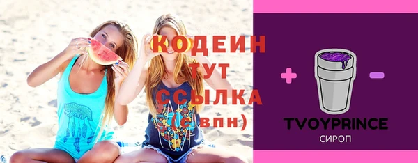 эйфоретик Алзамай