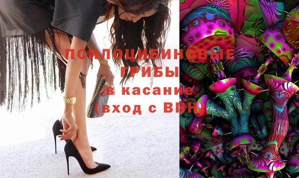 эйфоретик Алзамай
