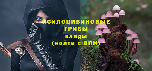 винт Нея