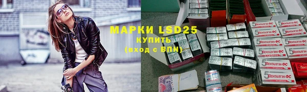 эйфоретик Алзамай